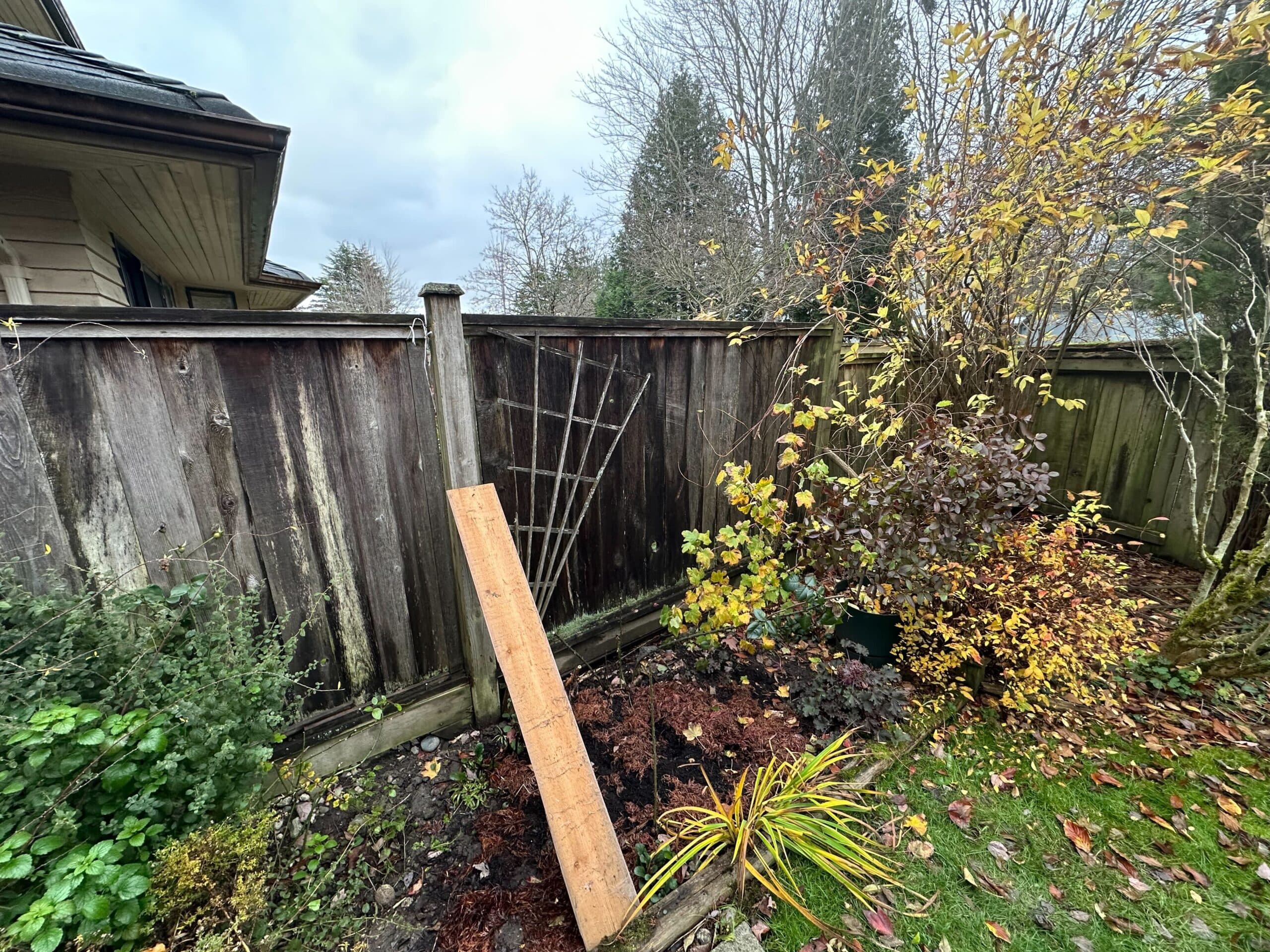 Fence before