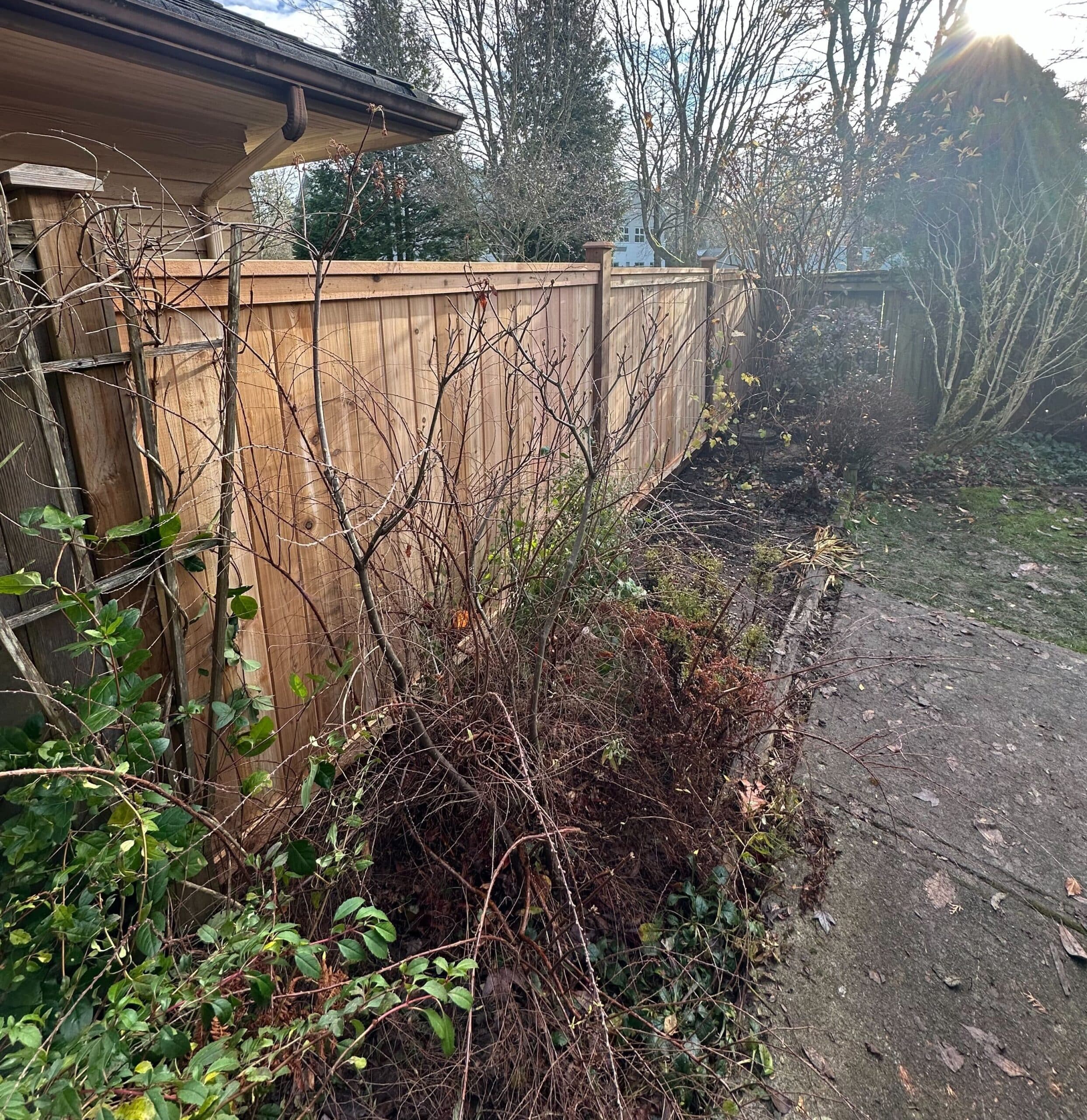 Fence after