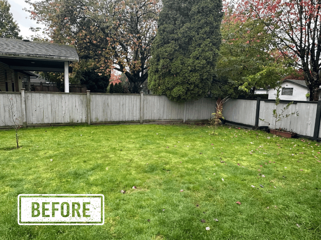 Fence before — old panels