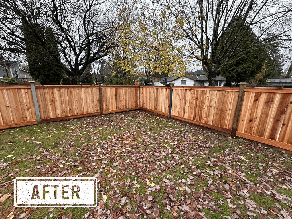 Fence after — new fence installed